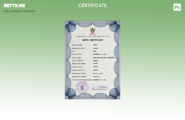 Модерен стил на Свети Китс, шаблон за шаблон за ПСД од извод од матична книга на